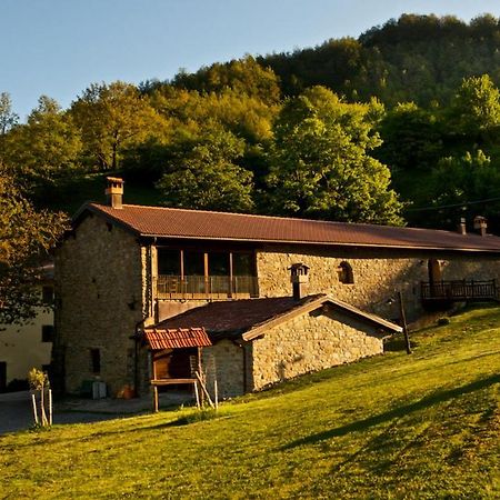 Willa Agriturismo Il Passeggere Bruscoli Zewnętrze zdjęcie