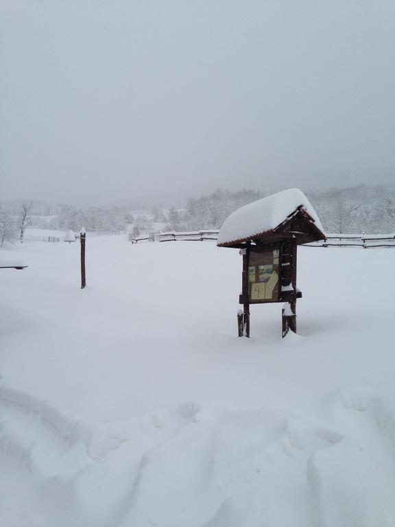 Willa Agriturismo Il Passeggere Bruscoli Zewnętrze zdjęcie